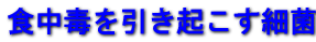 �H���ł������N�����׋�